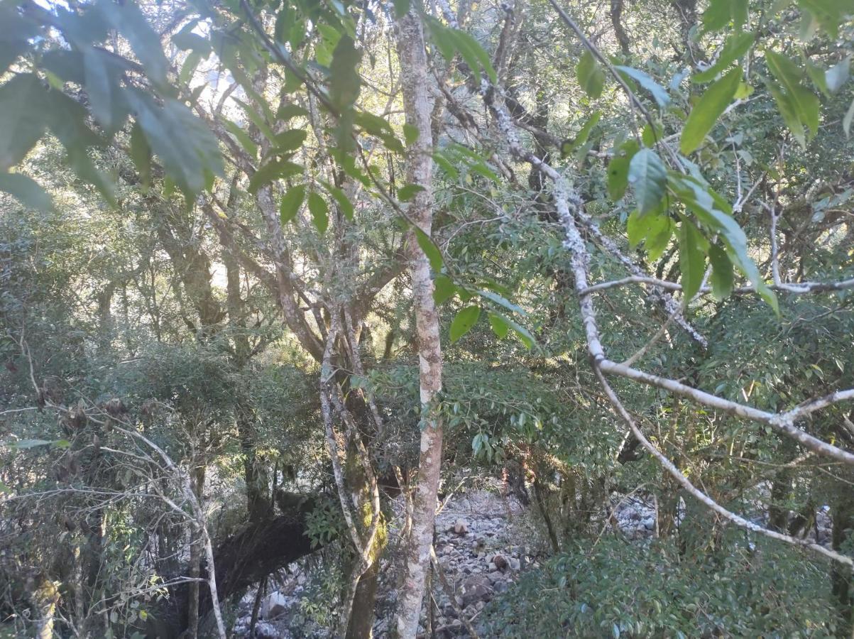 Casas De Temporada Serra Dos Bitus อูรูบิซิ ภายนอก รูปภาพ